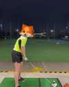 kitsunee.___ Altpins Profile Picture