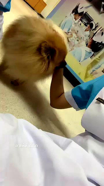 oqr0_ oqr0_ archive video