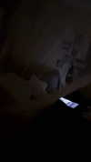 angxl.sky Altpins Profile Picture
