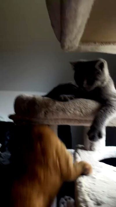 yoo.mon yoo.mon archive video