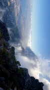 noa_mendel_ Altpins Profile Picture