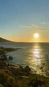 noa_mendel_ Altpins Profile Picture