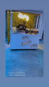 jailyneojeda Altpins Profile Picture