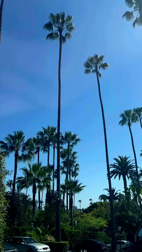 payton.r archive video preview