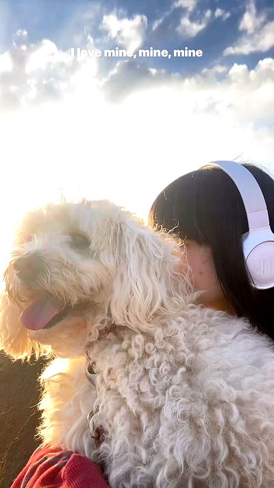 feelbetterinmysweater feelbetterinmysweater archive video