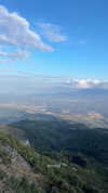 niisadurmaz Altpins Profile Picture