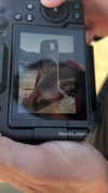 _anastasiaxxq_ Altpins Profile Picture