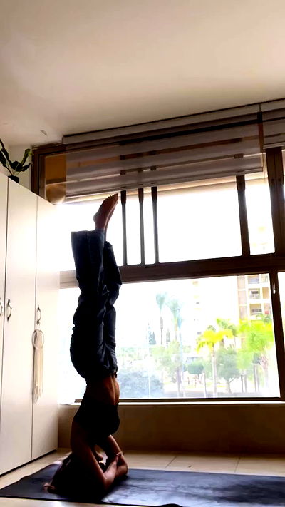 liad.arazi liad.arazi archive video