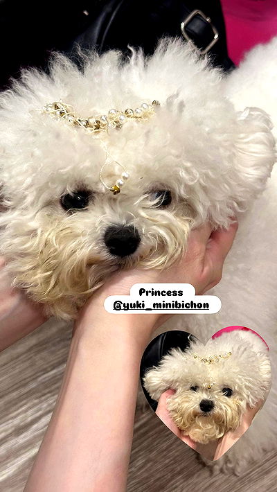 iamdorasnow iamdorasnow archive video