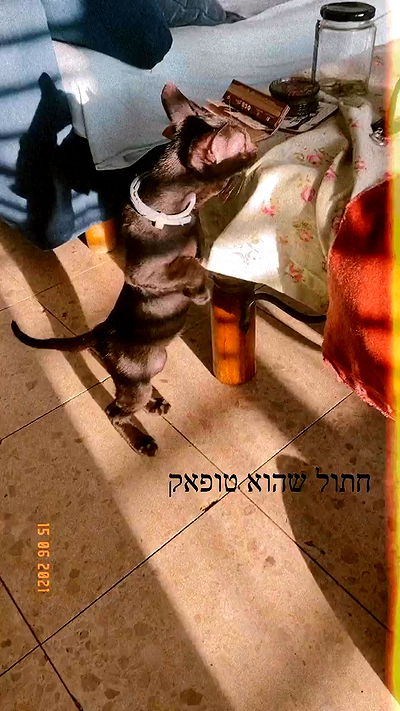 feelbetterinmysweater feelbetterinmysweater archive video