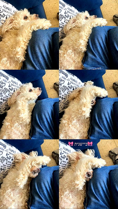 feelbetterinmysweater feelbetterinmysweater archive video