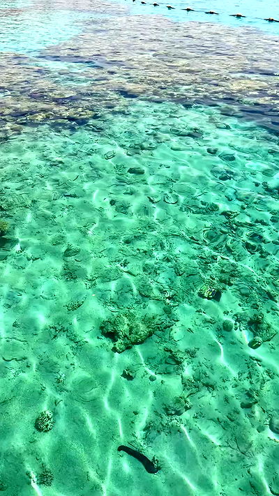 g.a.l.1.a g.a.l.1.a archive video