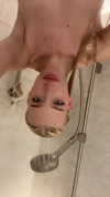 aleksandraverse Altpins Profile Picture