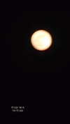 hadas_mayer_ Altpins Profile Picture