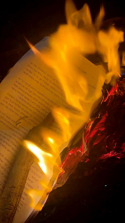 alisa.paigin alisa.paigin archive video