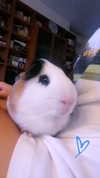 la.vica_ Altpins Profile Picture