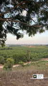 veronika_grish Altpins Profile Picture
