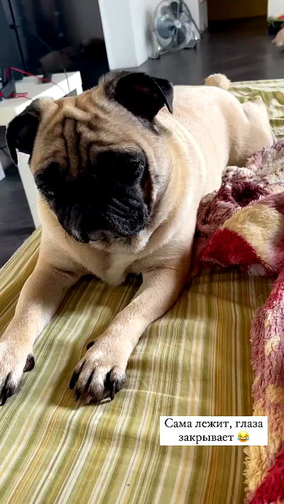 nyityam nyityam archive video