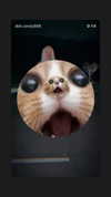 didi.candy666 Altpins Profile Picture