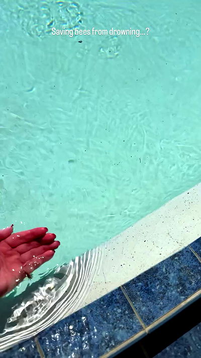 sedonaskyxo sedonaskyxo archive video