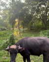 noa_mendel_ Altpins Profile Picture
