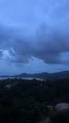 shelly_roberin Altpins Profile Picture