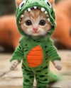 littlemiauwu Altpins Profile Picture