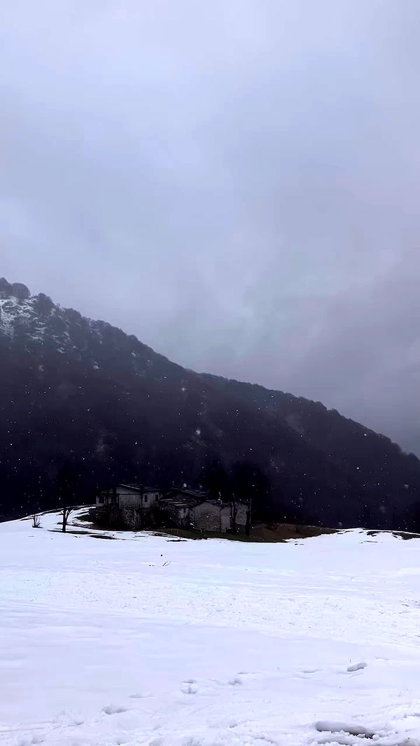 elianachetrit archive video preview