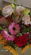 nataliexk_ Altpins Profile Picture