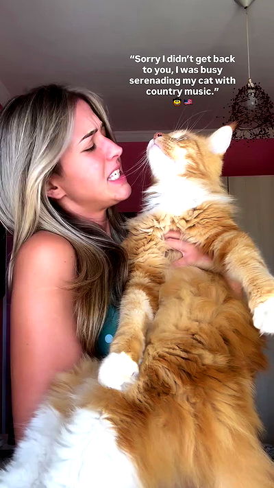 bakedsloths bakedsloths archive video