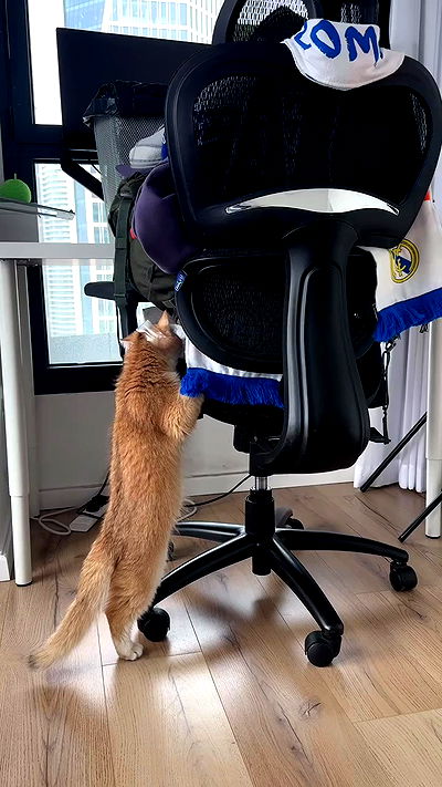 itsilanosh itsilanosh archive video