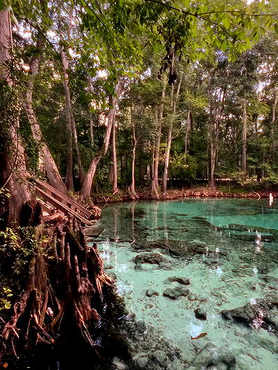 edin.karyn edin.karyn archive video