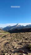 noa_mendel_ Altpins Profile Picture