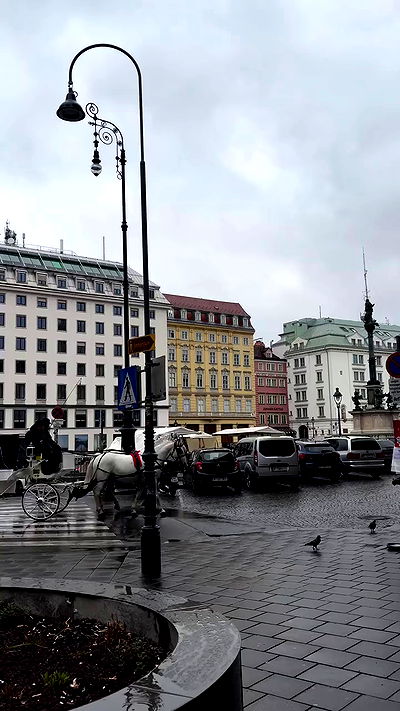 noammalka___ noammalka___ archive video