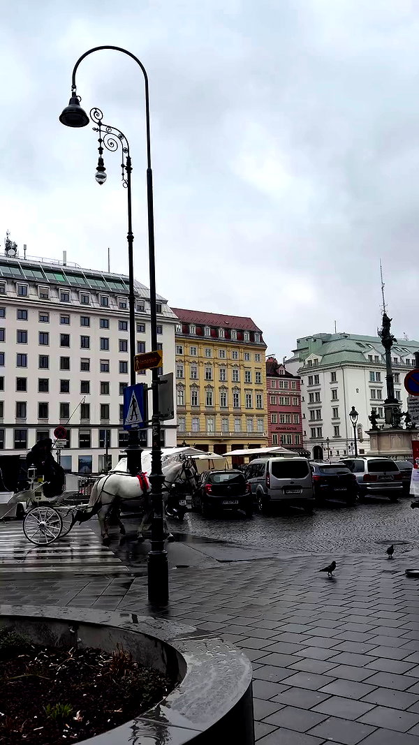 noammalka___ archive video preview