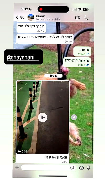 yannaidebeer yannaidebeer archive video