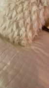 sydney_melman Altpins Profile Picture