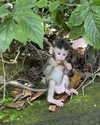 kellybaby_yy Altpins Profile Picture