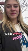 willitwafflemini Altpins Profile Picture