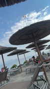 maycohen8 Altpins Profile Picture