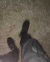 astarwbry_ Altpins Profile Picture