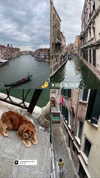 ivy.owowo Altpins Profile Picture