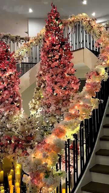 iamcardib iamcardib archive video