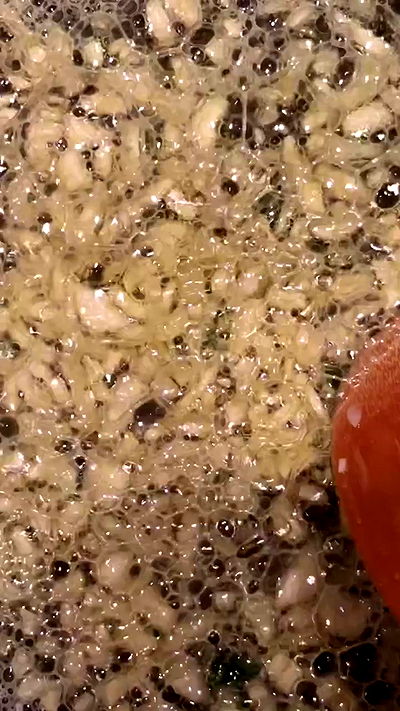 iambohema.v2 iambohema.v2 archive video