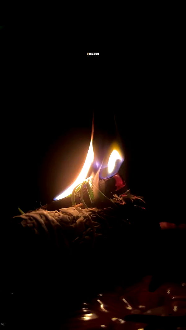 liashaked archive video preview