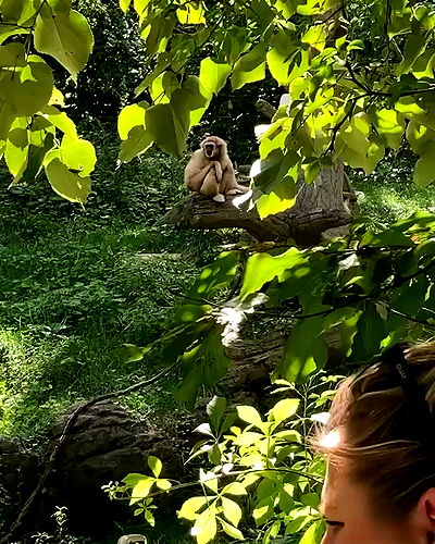 dakotabell05 dakotabell05 archive video