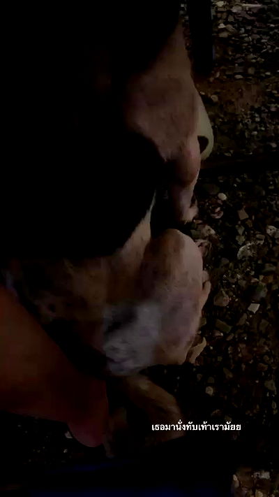 oqr0_ oqr0_ archive video