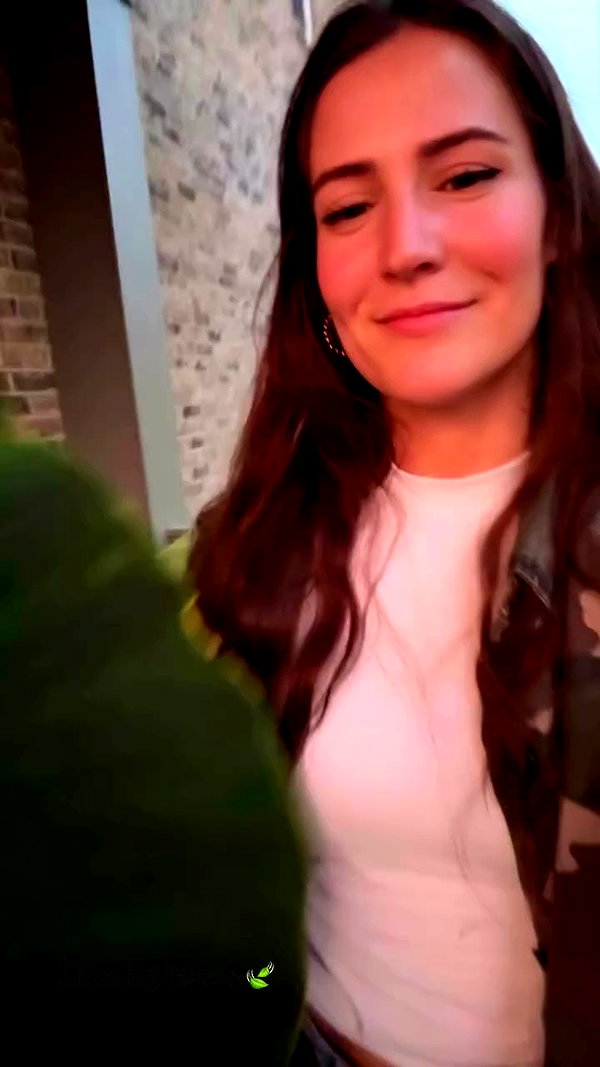 sarah.anne.dipity archive video preview
