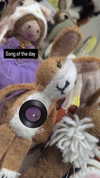 zz.eazoning Altpins Profile Picture