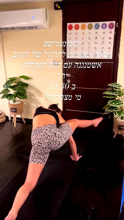 liad.arazi liad.arazi archive video